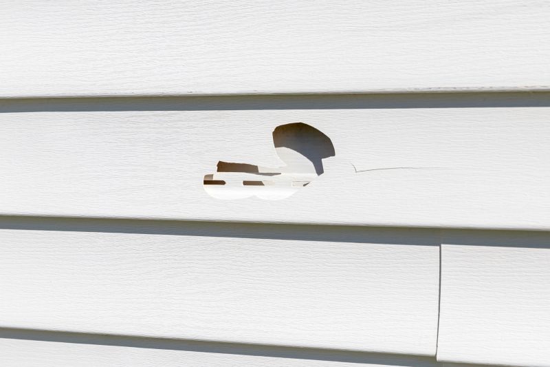 Siding Replacement and Repair