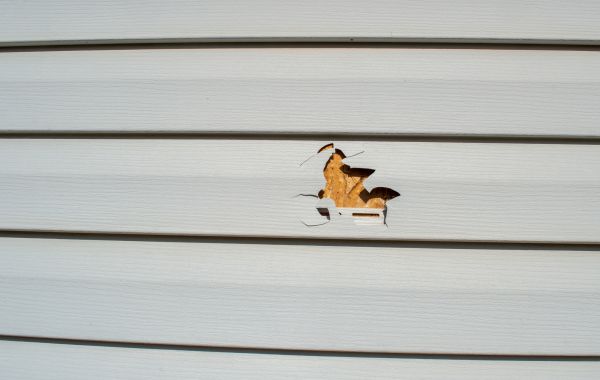 Siding Hole Patching in Dover