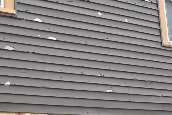 Damaged Siding Replacement in Dover